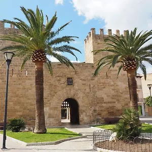 Simo **** Alcudia (Mallorca)